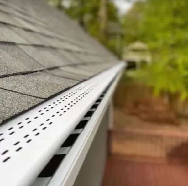 Gutter cleaning